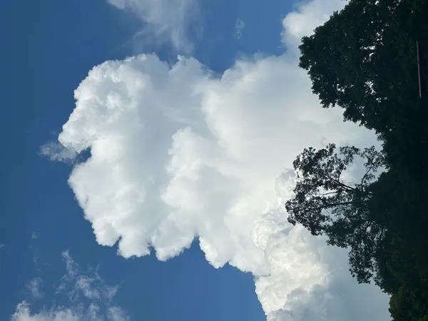 Spring Fever in February: Record-Chasing Warmth and Rainy Skies for Columbus