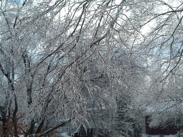Icy Hazards and Arctic Chill: Commute Advisories for Columbus