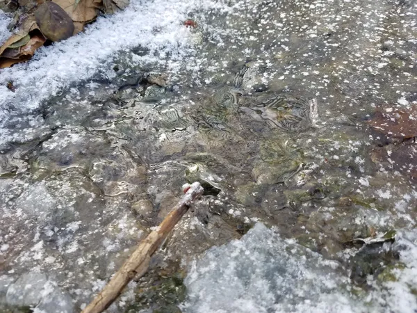 Winter Alerts and Campus Crossroads: Your Columbus Morning Briefing