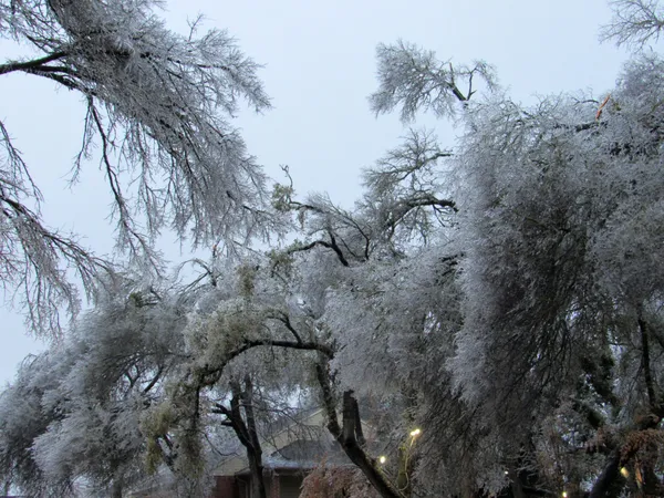 Gale-Force Morning Storms Give Way to a Sharp Afternoon Freeze
