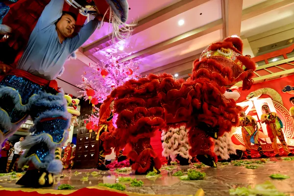 Columbus Museum of Art to host free Lunar New Year event featuring lion dance and artmaking