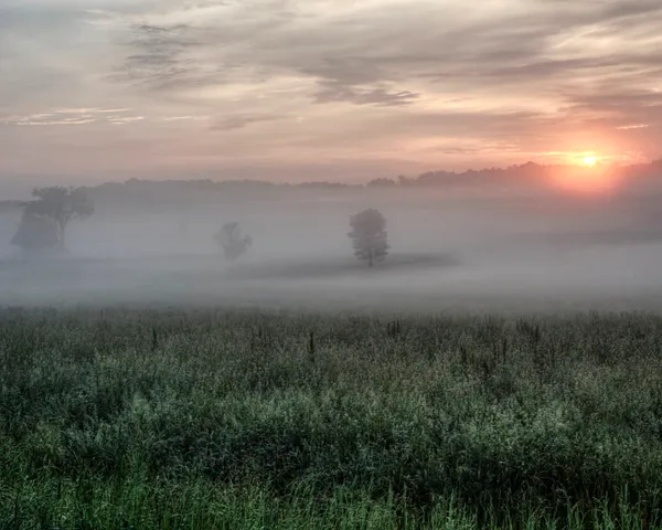 Morning Sun Meets Afternoon Fog: A Milder Tuesday for Columbus
