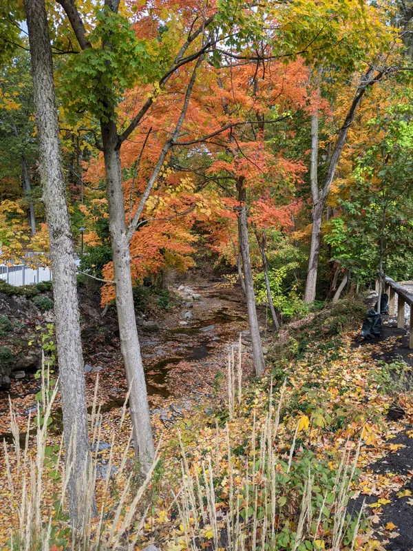 Don't Let the Rain Fool You: A Damp and Breezy Start to April in Columbus